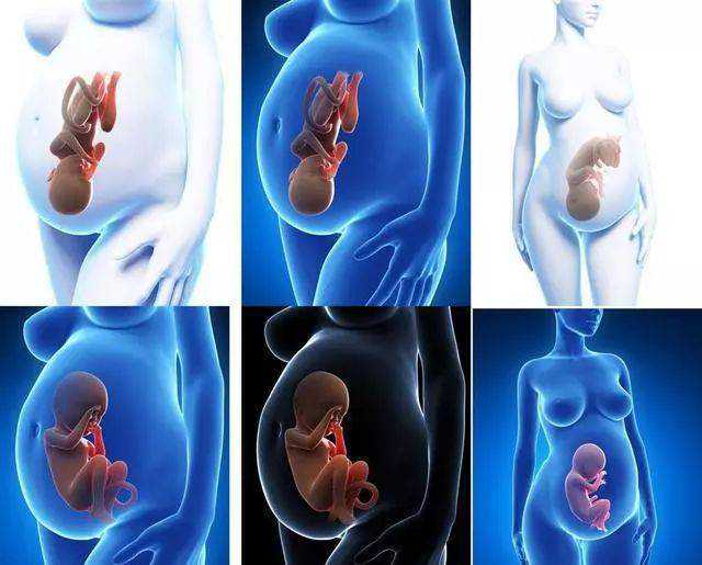 石家庄助孕公司,石家庄助孕公司：助您圆梦成为父母